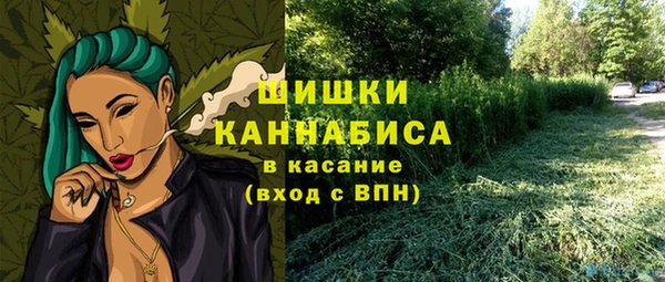 тгк Арсеньев