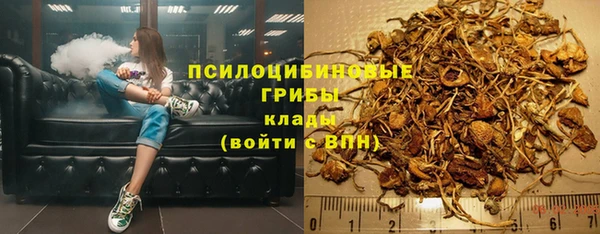 тгк Арсеньев